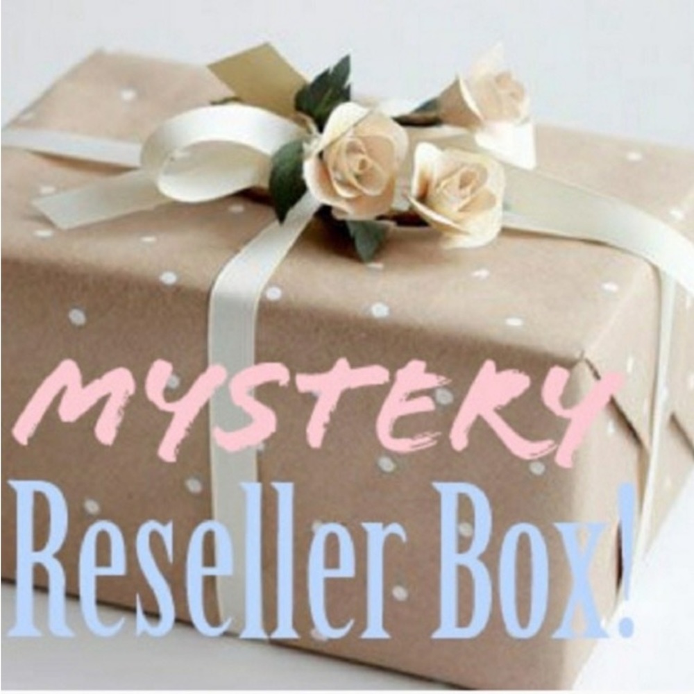 Resellers Mystery Box All items NWT or NWOT